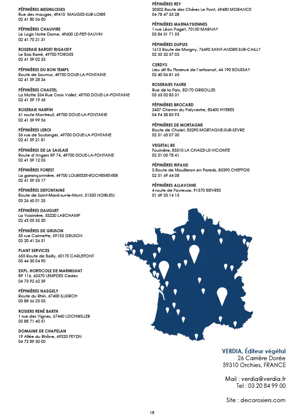 CATALOGUE_DECOROSIERS-19.webp