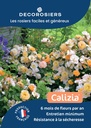 A4_DECOROSIERS_CALIZIA.jpg