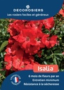 A4_DECOROSIERS_ISALIA.jpg