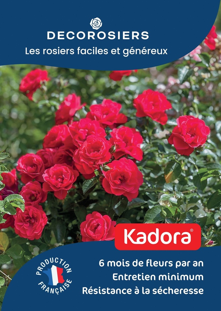 A4_DECOROSIERS_KADORA.jpg