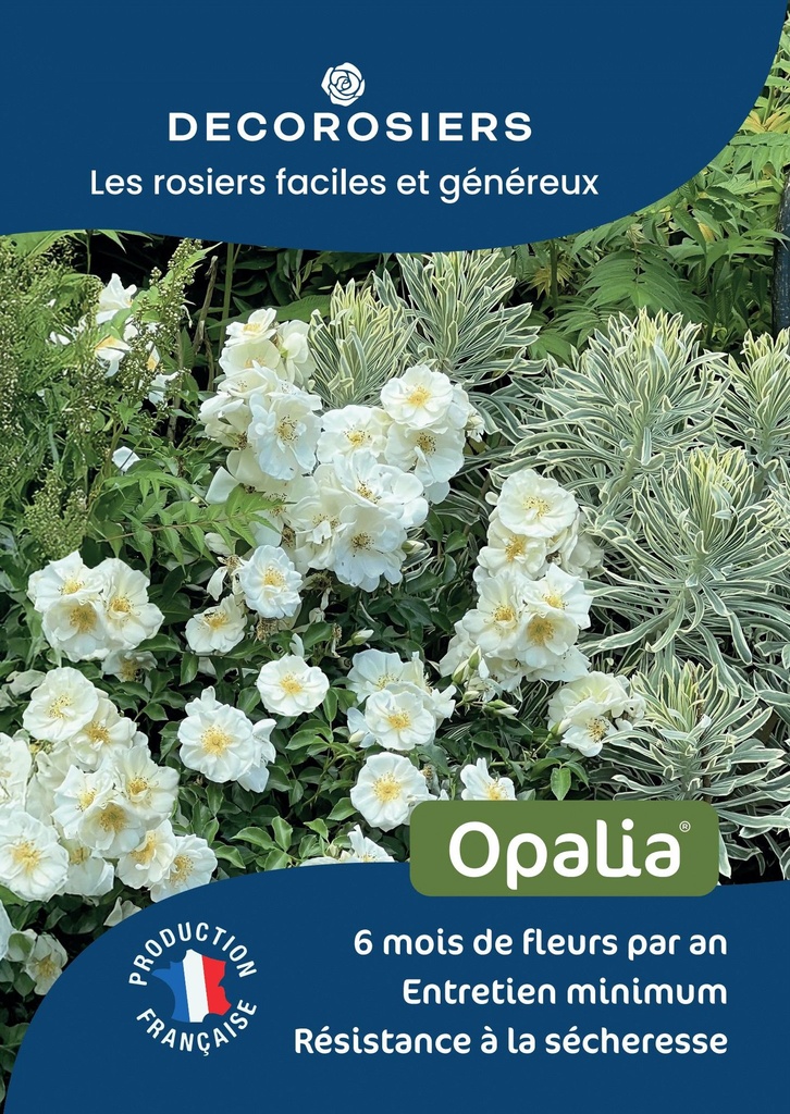 A4_DECOROSIERS_OPALIA.jpg