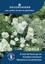 A4_DECOROSIERS_OPALIA.jpg