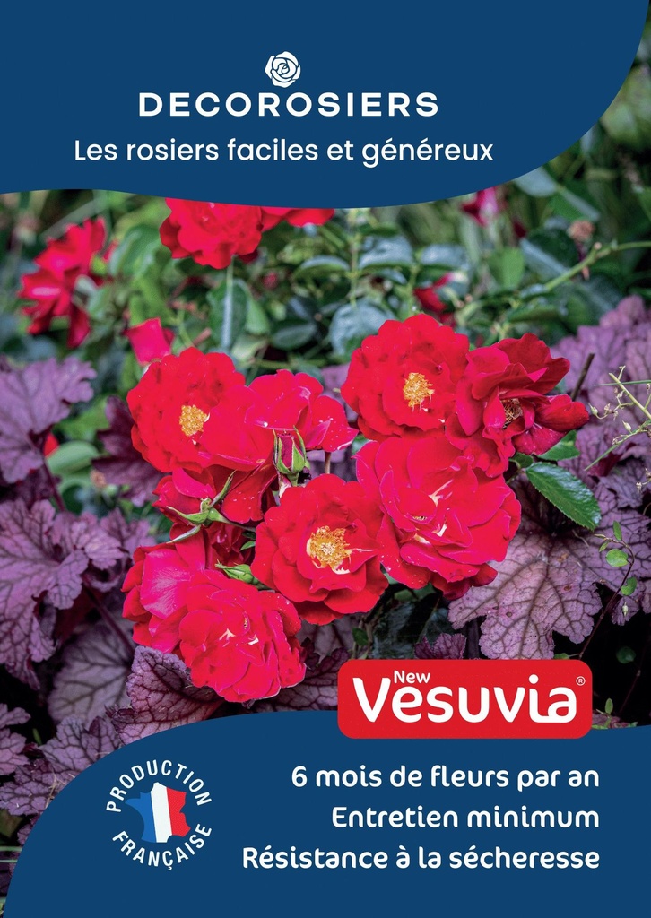 A4_DECOROSIERS_NEWVESUVIA.jpg