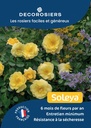 A4_DECOROSIERS_SOLEYA.jpg