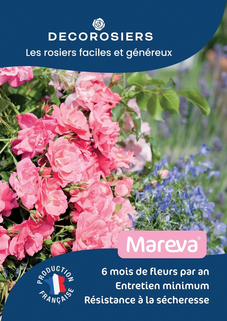 A4_DECOROSIERS_MAREVA.jpg
