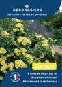 A4_DECOROSIERS_SUNEVA.jpg