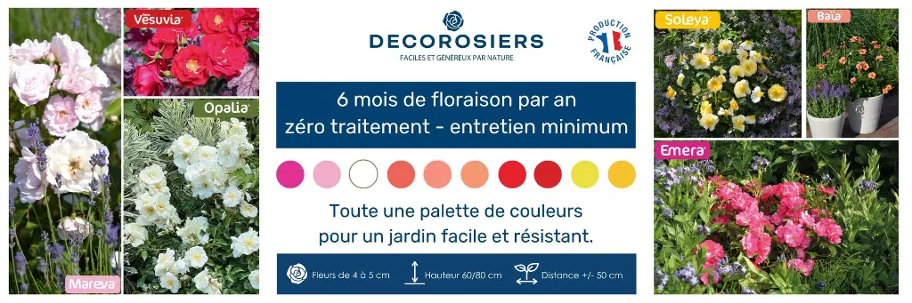 Decorosiers_Akilux_2025_120x40cm (2).webp