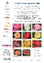 PLAQUETTE_DECOROSIERS_PAYSAGE_09.25_page-0002.webp