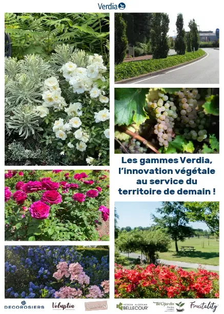 [PLVCATVERA5] CATALOGUE GENERAL A5.webp