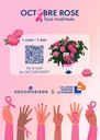 A4_OCTOBREROSE_LIGUExDECOROSIERS_07.26 (1)_page-0001.jpg
