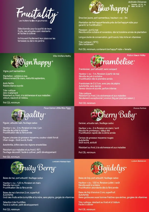 fruitality_verso.webp