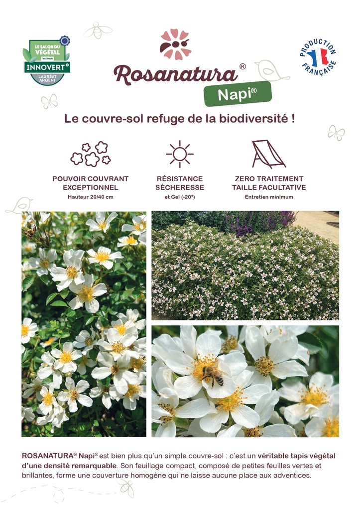 PLAQUETTE_ROSANATURA_NAPI_07.26 (1)_page-0001.jpg