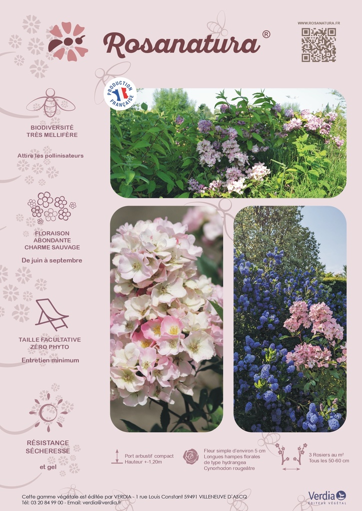 Fiche commerciale Rosanatura ROSEA.jpg