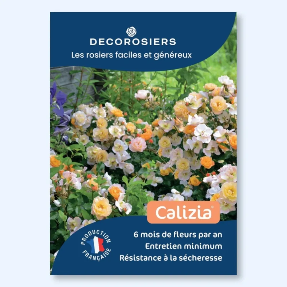 Affichette A4 PVC DECOROSIERS® Calizia®