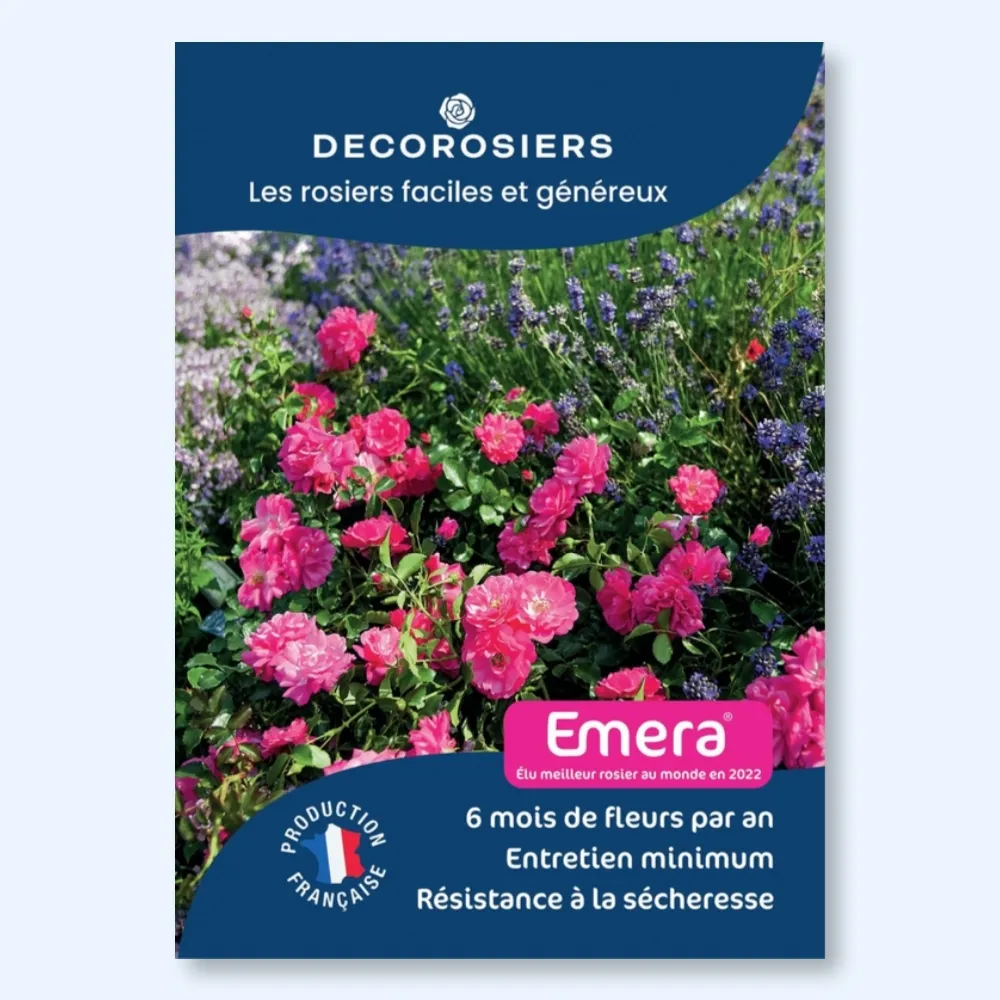 [PLVAFFPVCEME] Affichette A4 PVC DECOROSIERS® Emera®