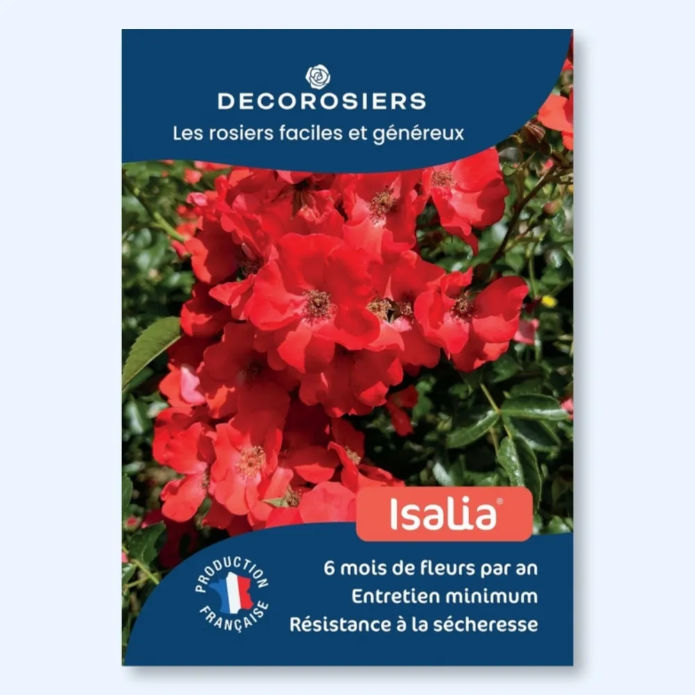 Affichette A4 PVC DECOROSIERS® Isalia®