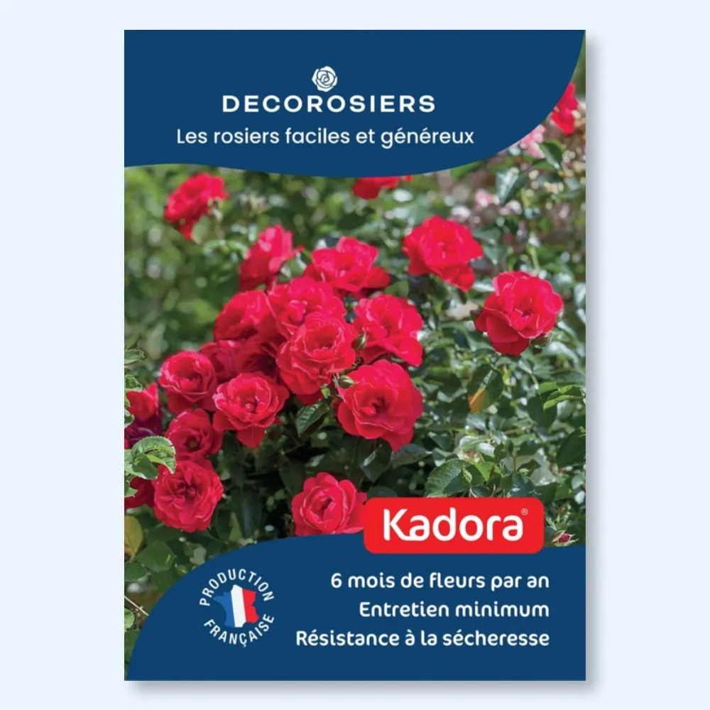 Affichette A4 PVC DECOROSIERS® Kadora®