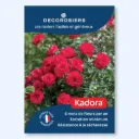 Affichette A4 PVC DECOROSIERS® Kadora®