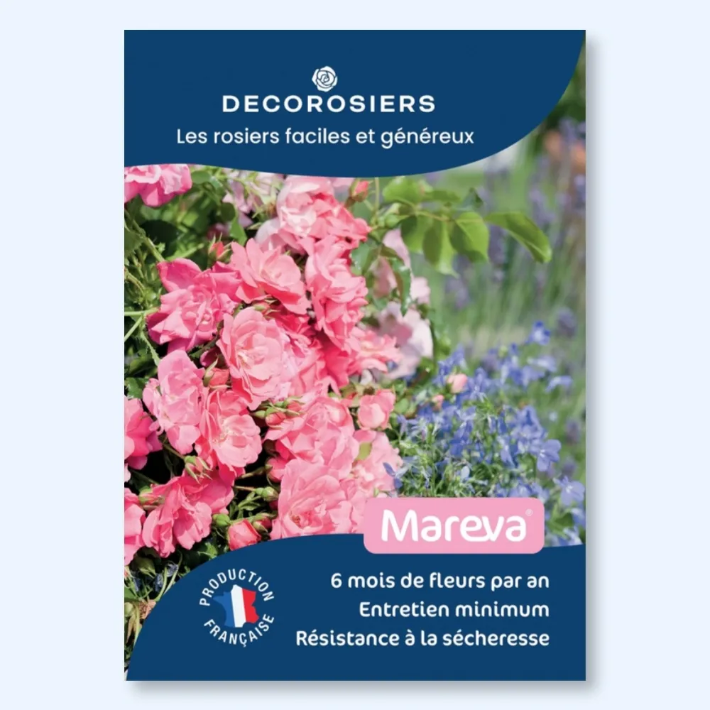 Affichette A4 PVC DECOROSIERS® Mareva®