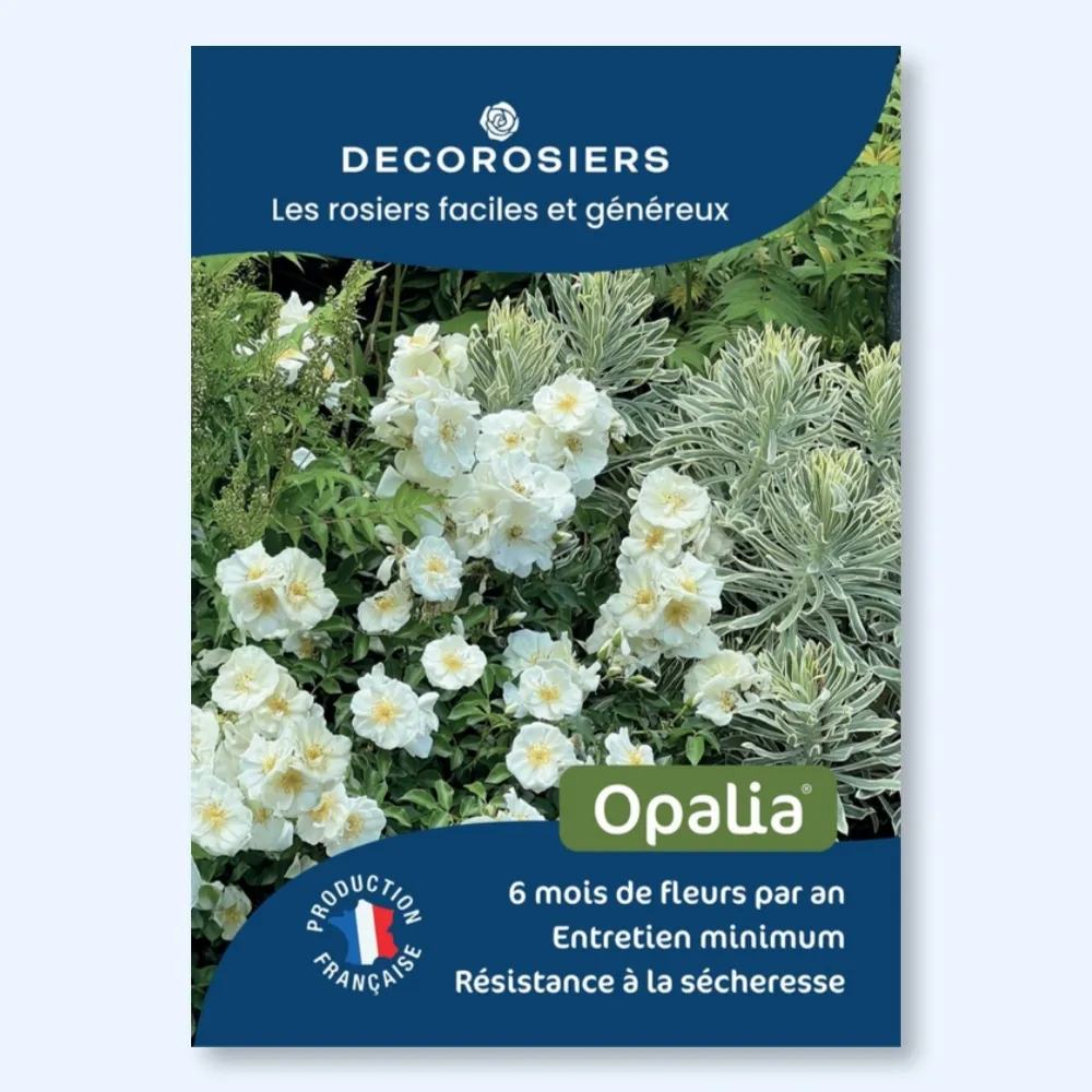 [PLVAFFPVCOPA] Affichette A4 PVC DECOROSIERS® Opalia®