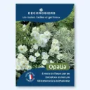 Affichette A4 PVC DECOROSIERS® Opalia®