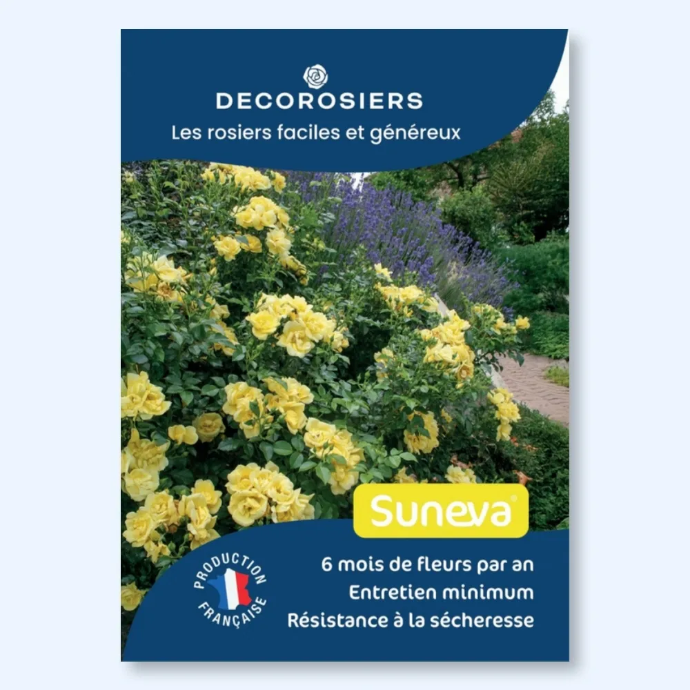 Affichette A4 PVC DECOROSIERS® Suneva®