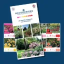 Dépliant DECOROSIERS® personnalisable