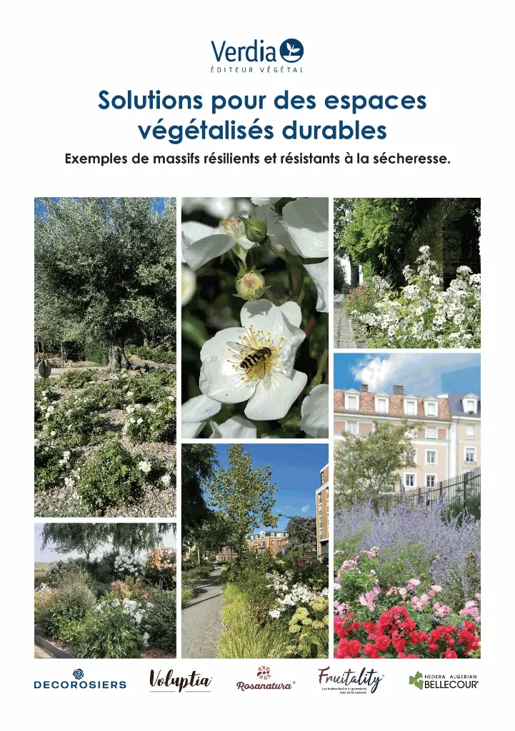 Guide des solutions pour des espaces végétalisés durables