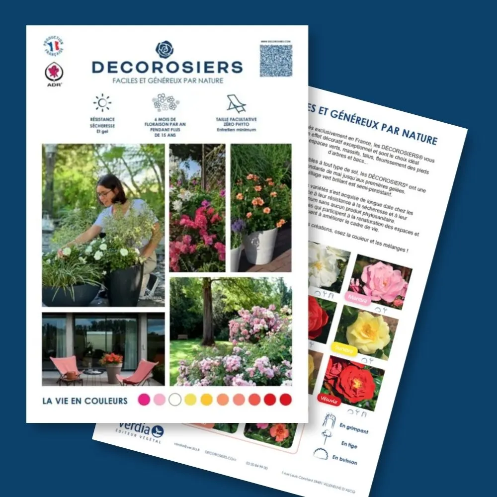 [PLVFLYERDECOPART] Plaquette A4 DECOROSIERS® PARTICULIER recto-verso