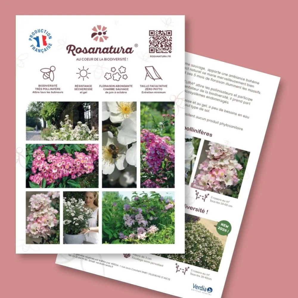 Plaquette A4 ROSANATURA® A4 recto verso