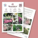 Plaquette A4 ROSANATURA® A4 recto verso