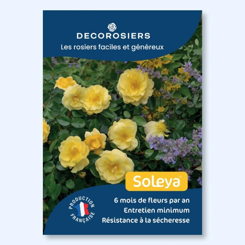 Affichette A4 PVC DECOROSIERS® Soleya®