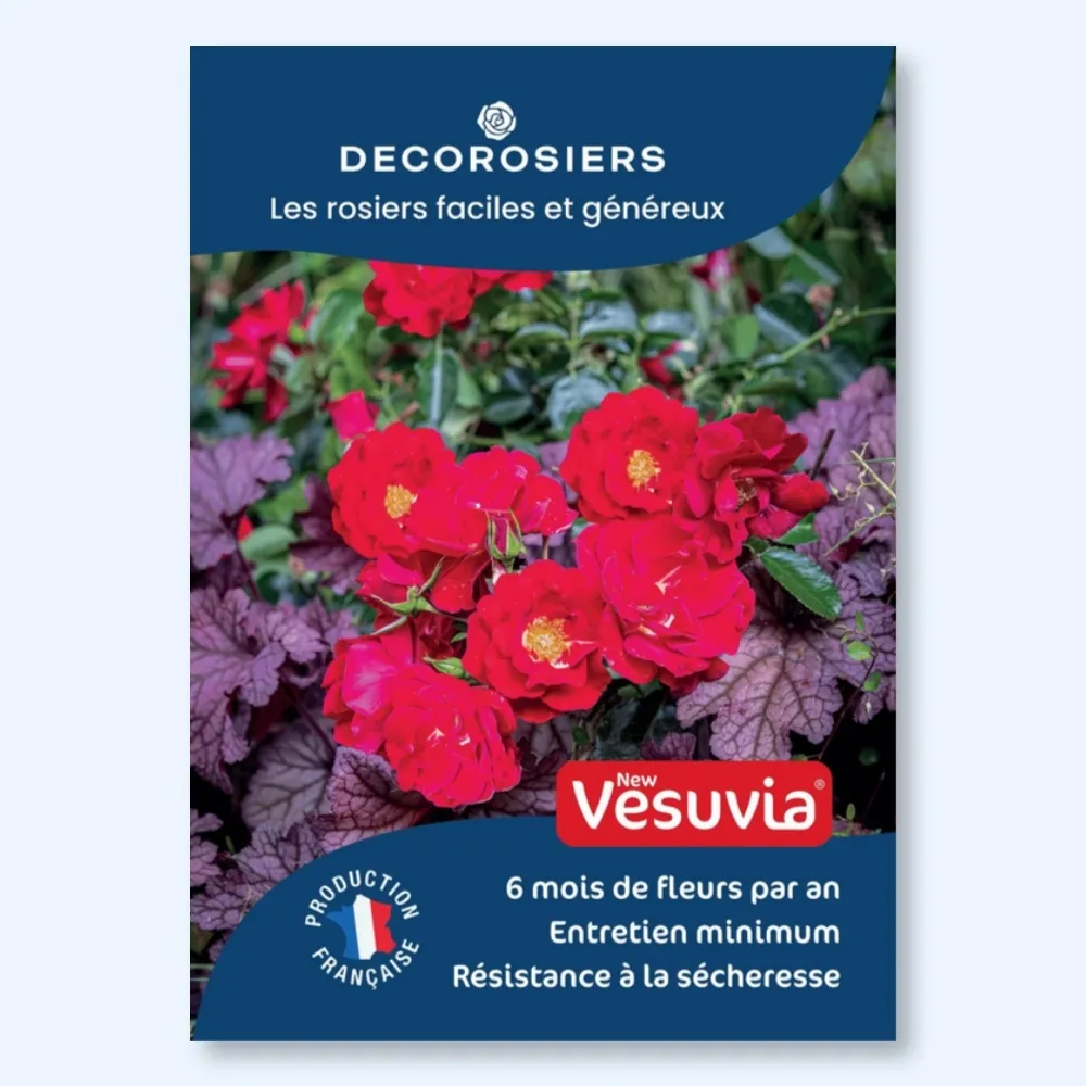 Affichette A4 PVC DECOROSIERS® New Vesuvia®