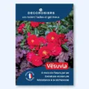Affichette A4 PVC DECOROSIERS® New Vesuvia®