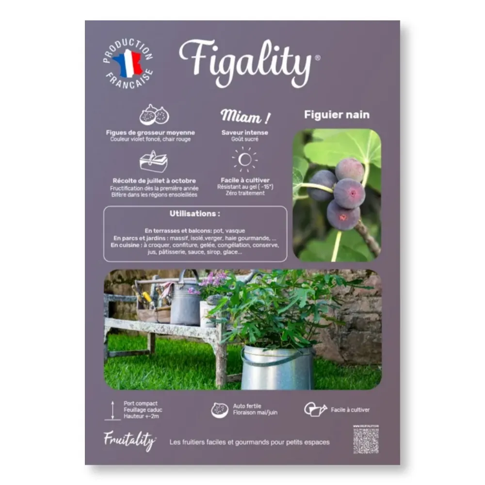 Affichette A4 PVC FRUITALITY® Figality®