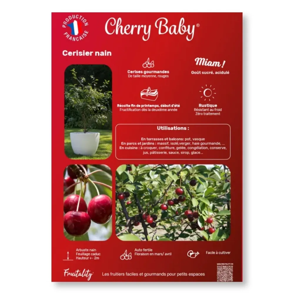 Affichette A4 PVC FRUITALITY® Cherry Baby®