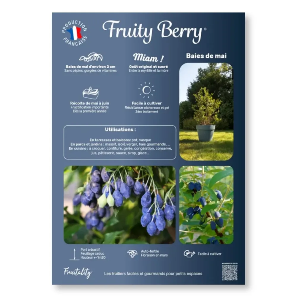 Affichette A4 PVC FRUITALITY® Fruity Berry®