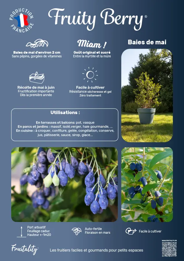 Affichette PVC FRUITALITY® Fruity Berry®