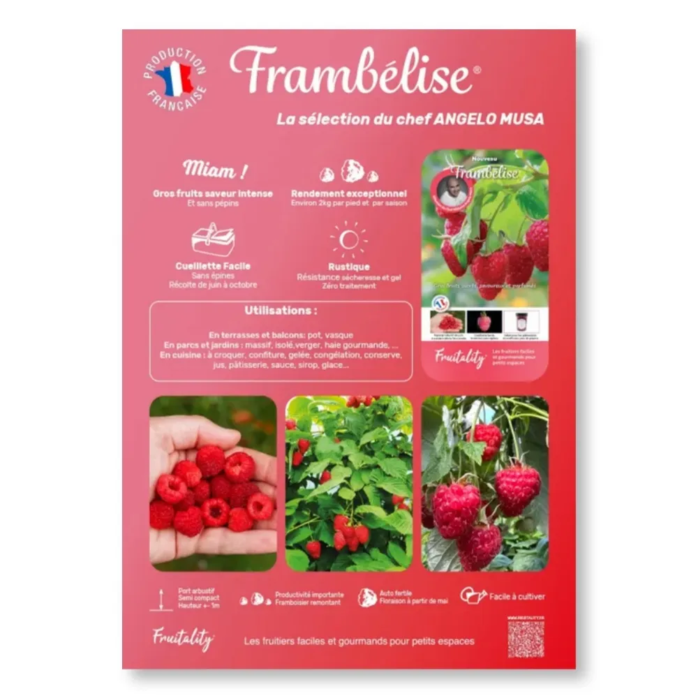 Affichette A4 PVC FRUITALITY® Frambelise®