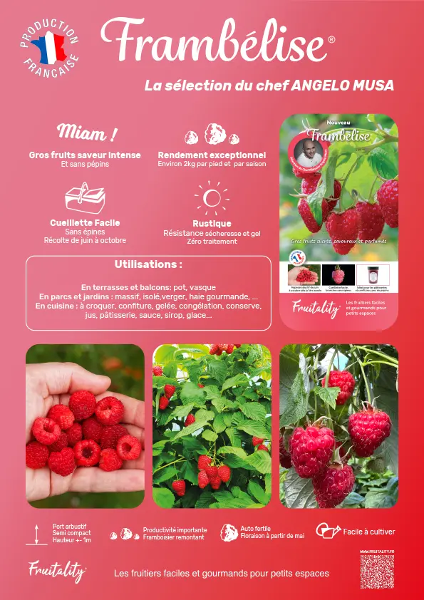 [PLVAFFPVCFRAM] Affichette PVC FRUITALITY® Frambelise®
