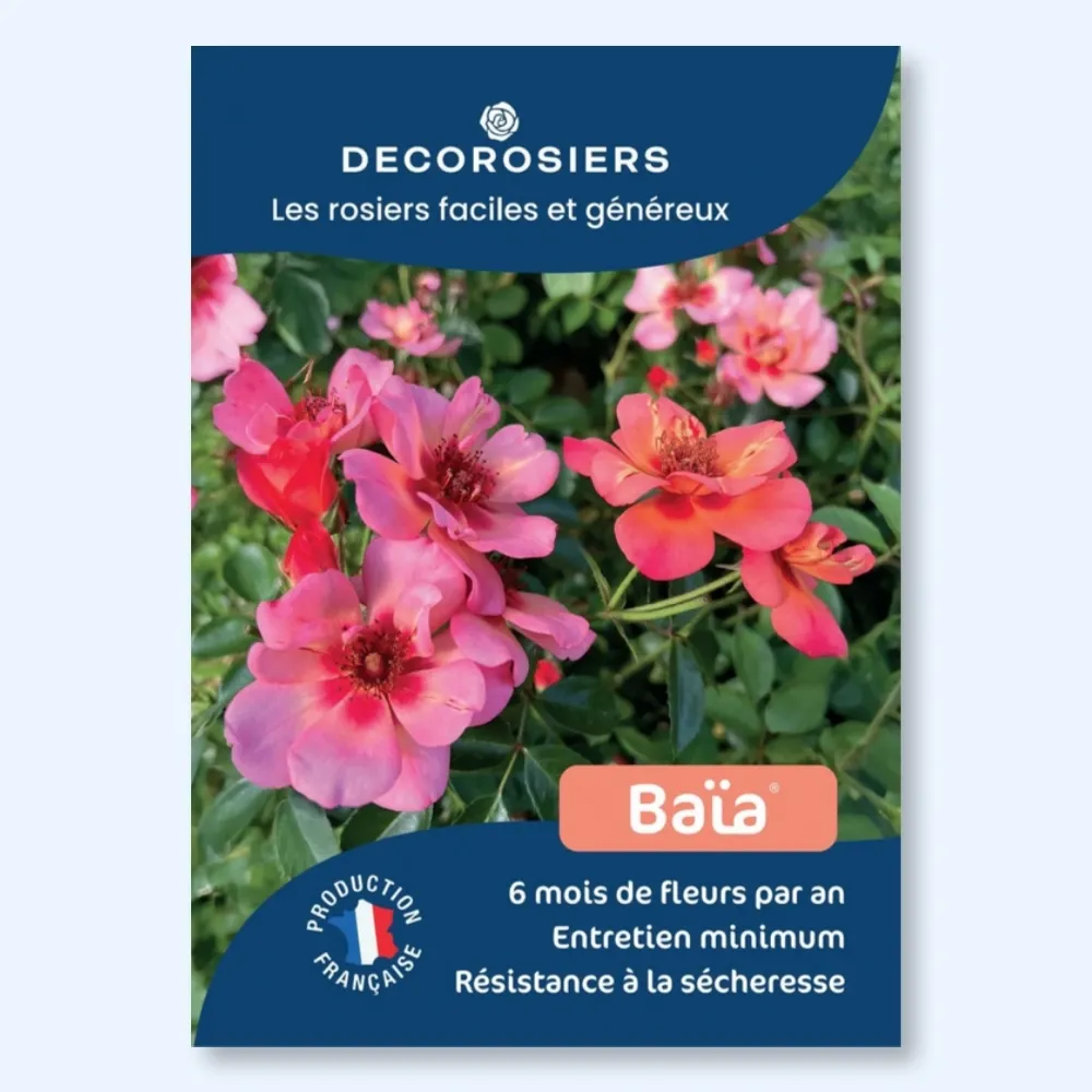 [PLVAFFPVCBAIA] Affichette A4 PVC DECOROSIERS® Baïa®