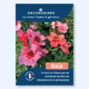 Affichette A4 PVC DECOROSIERS® Baïa®