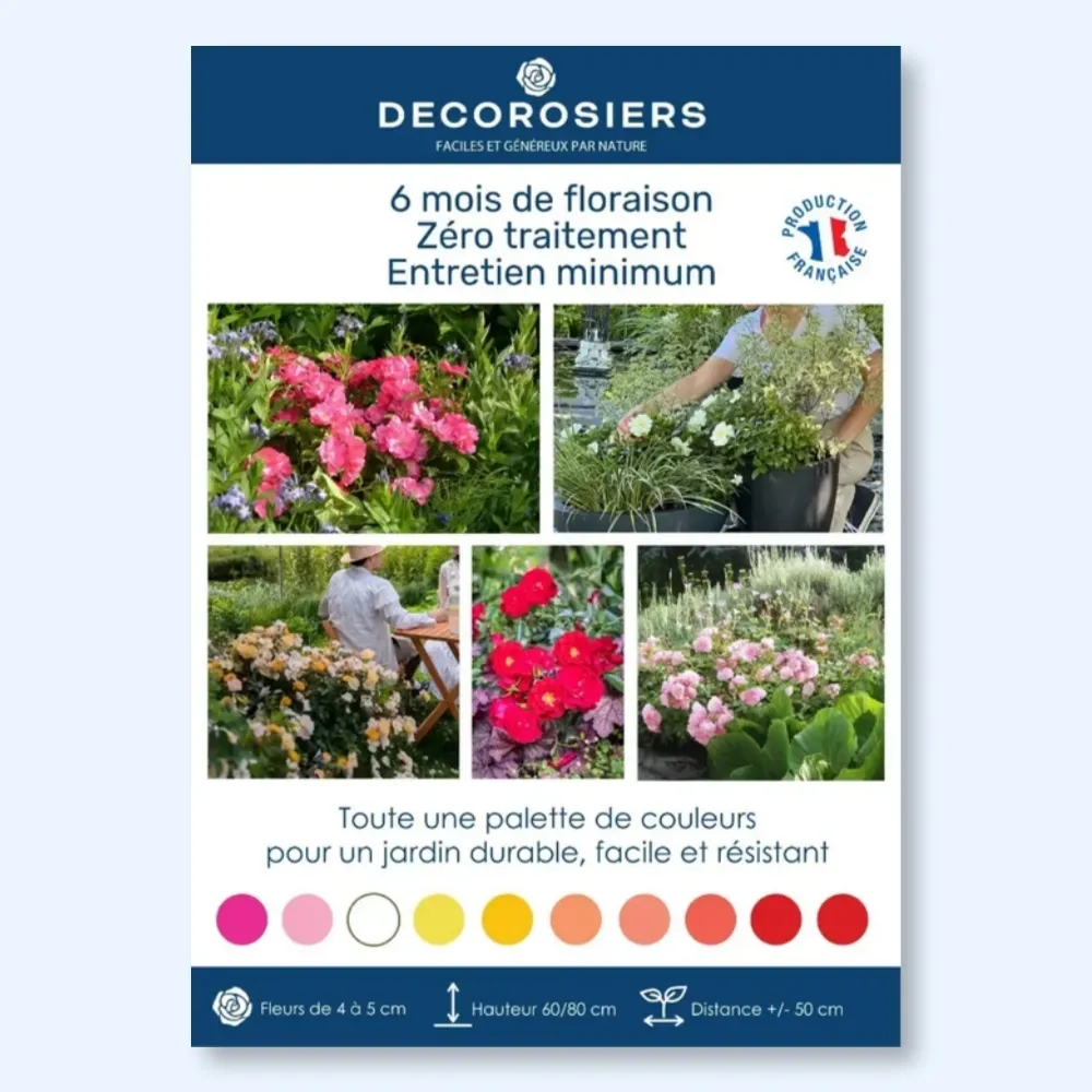 [PLVAFFPVCGAMMEDECO] ​Affichette PVC DECOROSIERS​®