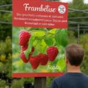 Panneau akilux Frambelise® 60x80cm