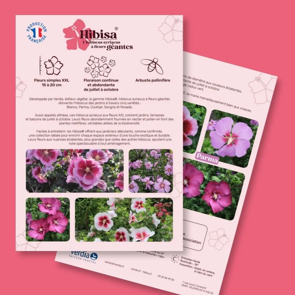 Plaquette A4 HIBISA® recto-verso