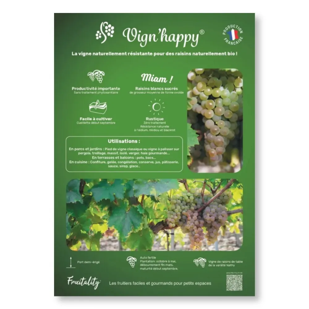 Affichette A4 PVC FRUITALITY® Vign'Happy®