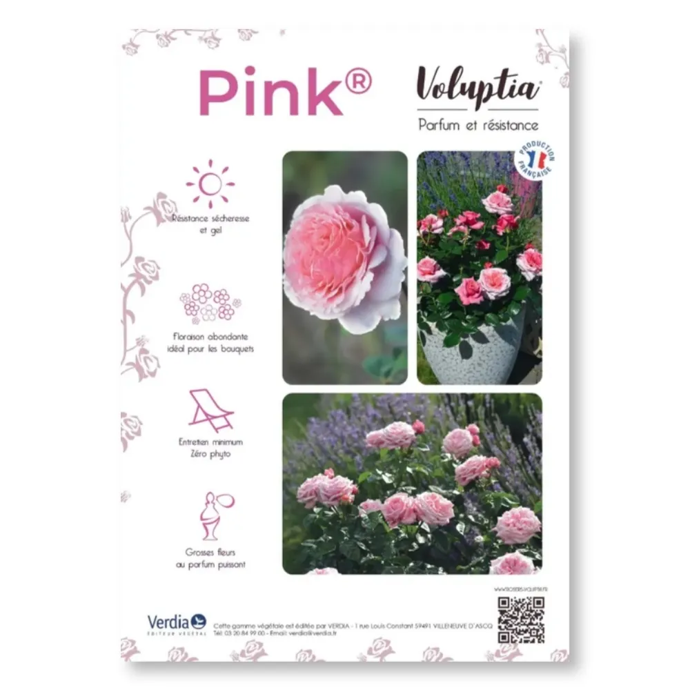 [PLVAFFPVCPINK] Affichette A4 PVC VOLUPTIA® Pink®