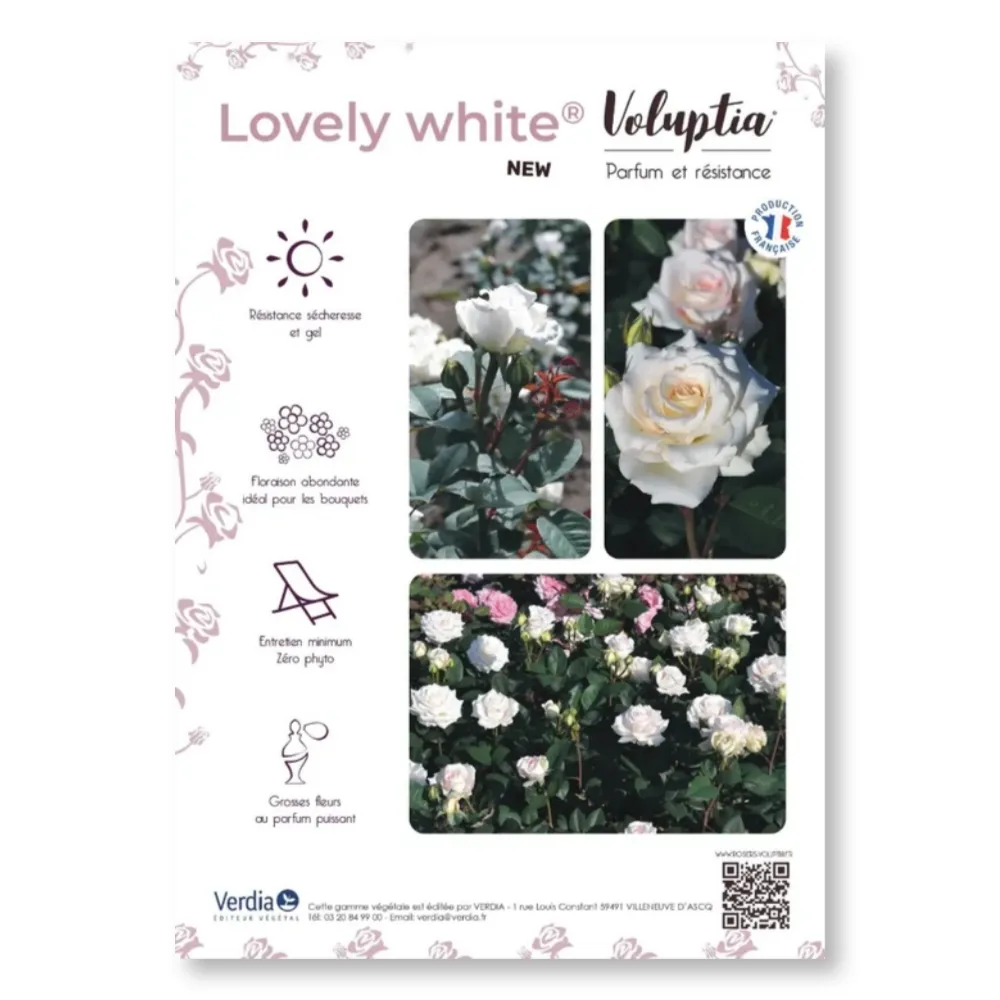 Affichette A4 PVC VOLUPTIA® Lovely White®
