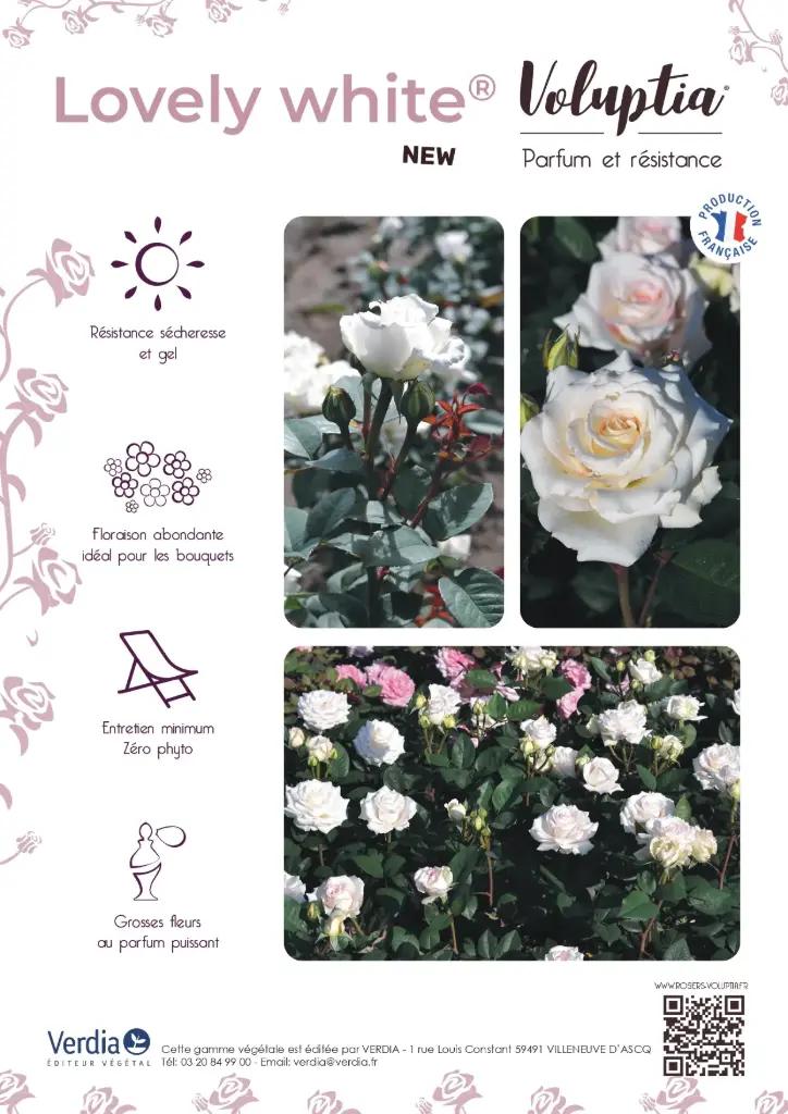 Affichette PVC VOLUPTIA® Lovely White®