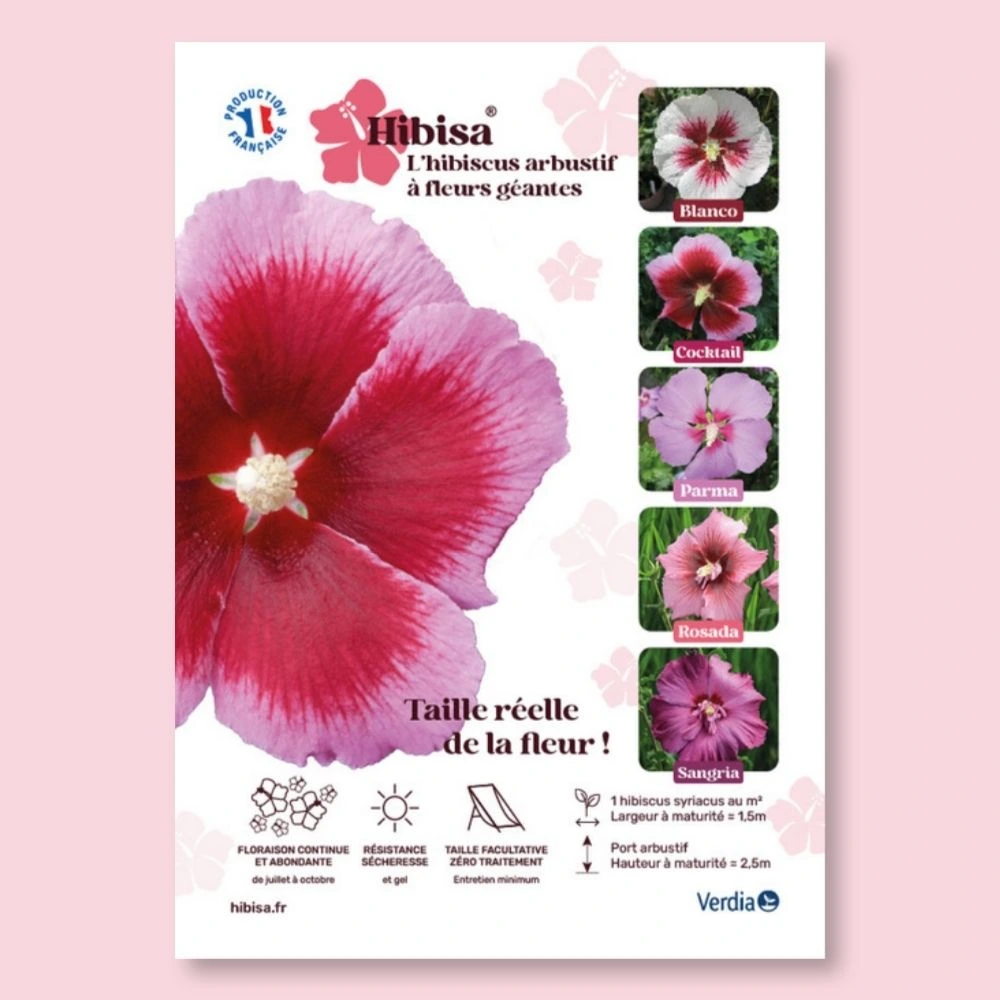 [AFFPVCHIBCOC] ​Affichette A4 PVC HIBISA COCKTAIL taille réelle